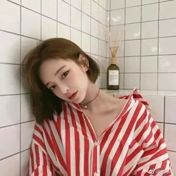 亲爱的同伙
