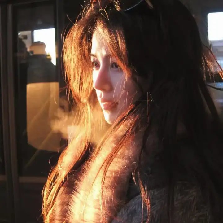 威尼斯的阿历克斯